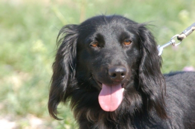 Barry2_28829.jpg