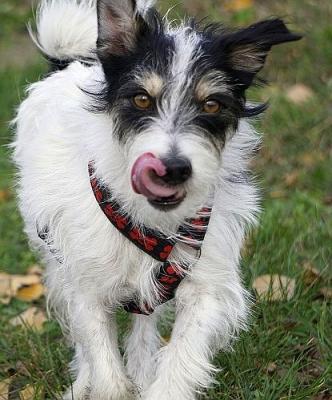 Benji14_28129.JPG