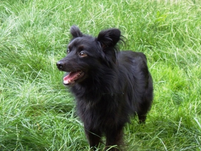 Black4_281829.JPG
