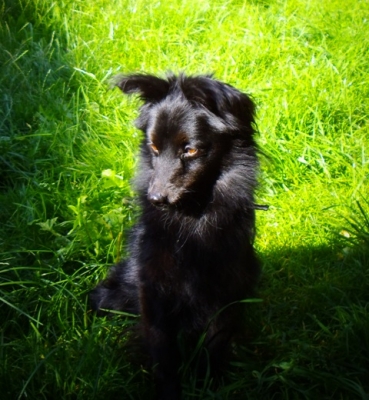 Black4_282029.JPG