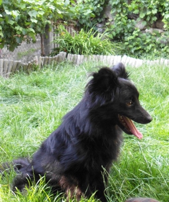 Black4_282229.JPG