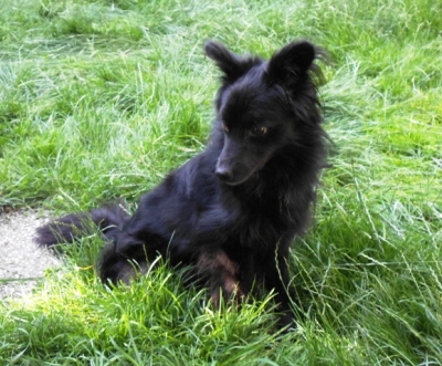 Black4_282329.JPG