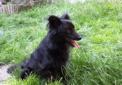 Black4_282429.JPG