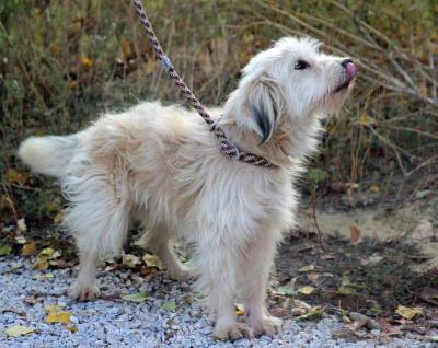 Chiwi_28329.jpg