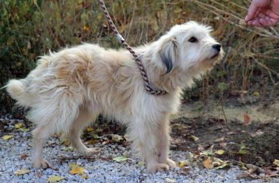 Chiwi_28829.jpg