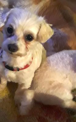 Cindy17_28429.jpg