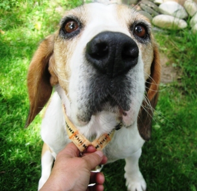 Donko_28129.jpg
