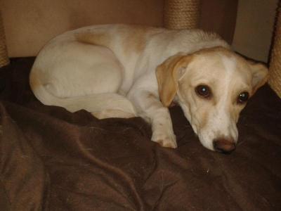 Fiona_281129.jpg