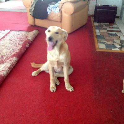 Harvey_28329.jpg