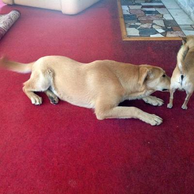 Harvey_28729.jpg