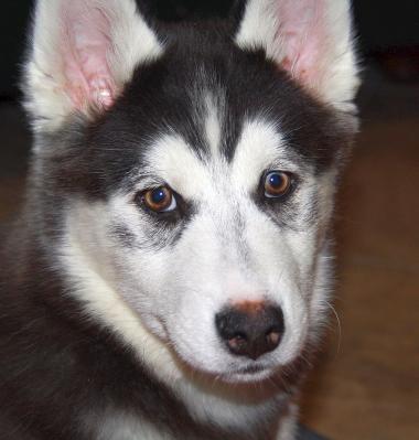 Hjorr_28129~0.JPG