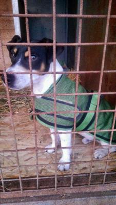 Jacky9_281129.jpg