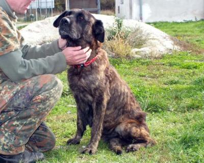 Jenny6_28729.jpg