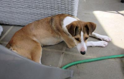 Leila8_28529.JPG