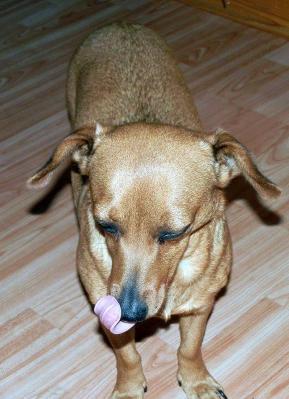 Lilly3_28229.JPG