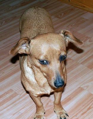 Lilly3_28329.JPG