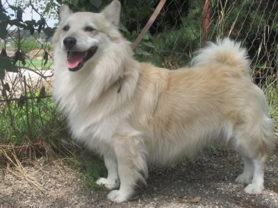 Maco4_28929.JPG