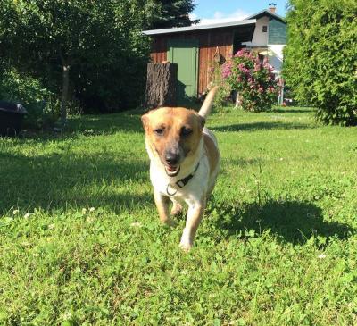 Maximus1_28729.jpeg