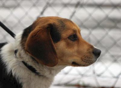 Monty3_28229.jpg