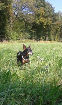 Radko2_28229~0.jpg