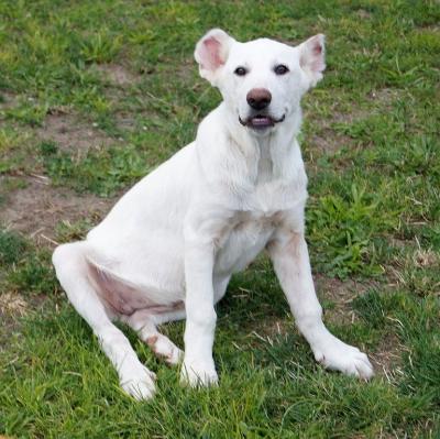 Roxy2_281229.jpg
