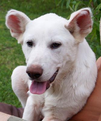 Roxy2_28129.jpg