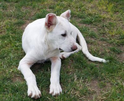 Roxy2_281329.jpg