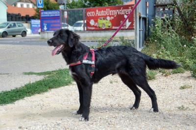 Sunita_28729.jpg