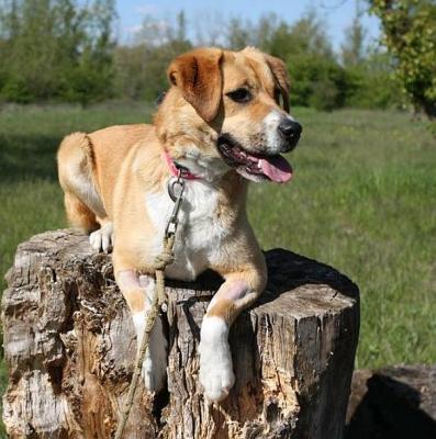 Tessie_28129.jpg