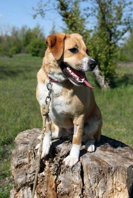 Tessie_28329.jpg