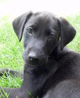 Alice_28129.JPG