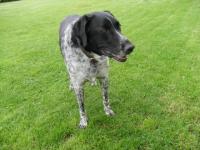 Balu5_281029.jpg