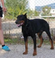 Baron3_28829.jpg