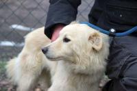 Brilly_281429.jpg