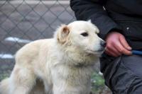 Brilly_281529.jpg