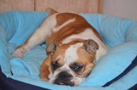 Bubly_28729.JPG