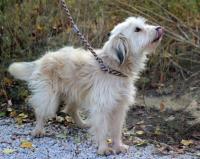 Chiwi_28329.jpg