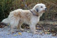 Chiwi_28429.jpg