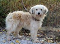 Chiwi_28629.jpg