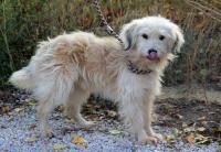 Chiwi_28729.jpg