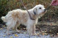 Chiwi_28829.jpg
