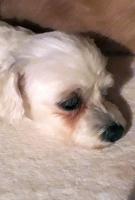 Cindy17_28229.jpg
