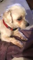 Cindy17_28329.jpg