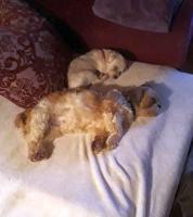 Cindy17_28529.jpg