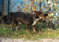 Cuddy_281029.jpg
