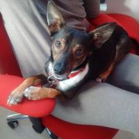 Cuddy_28529.JPG