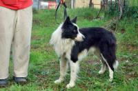 Cyrano_28429.jpg