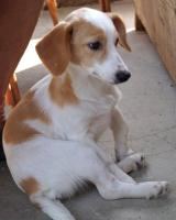 Frony_281229.jpg