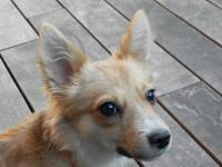 Fuxi_28429.JPG