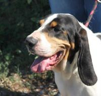 George2_28229.jpg